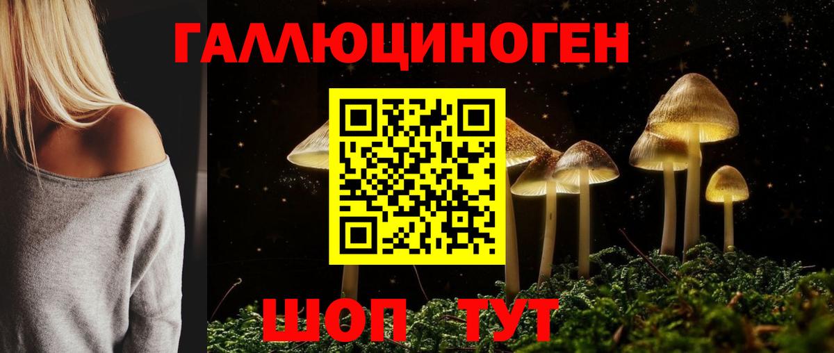 Галлюциногенные грибы Cubensis Озёрск